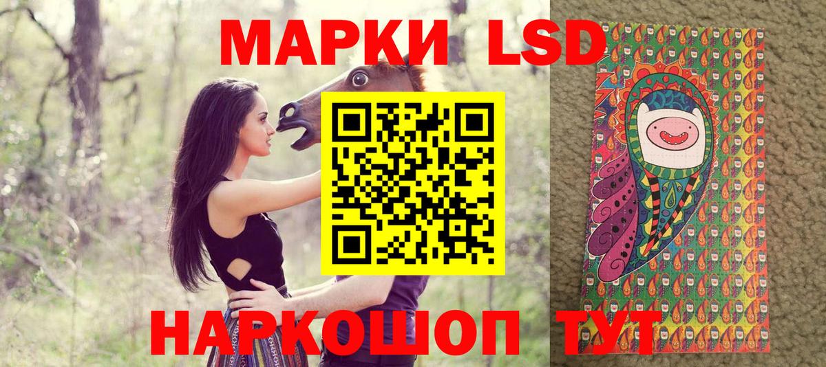 магазин продажи наркотиков  Марки N-bome 1500мкг  Вход с VPN  Ессентуки 